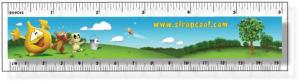 .020 Clear Plastic 6" Ruler / with square corners (1.5" x 6.25") Digitally Printed in High Resolution 4 colour process