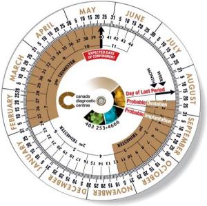 .020 Custom Imprinted White Gloss Vinyl Plastic Wheel Calculator / Birth Date Finder (6" dia.) Four colour process