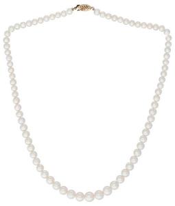 Freshwater Pearl Necklace - 16"